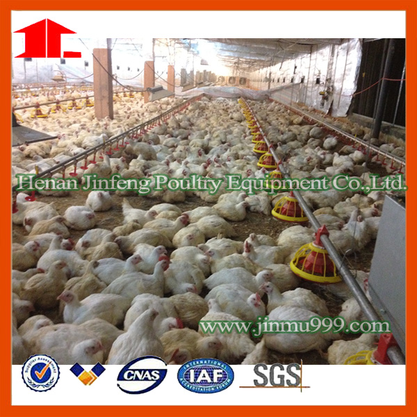 Automatic/Semi-Automatic Galvanizated Battery Farm Equipment Chicken Cage (JFLS0621)