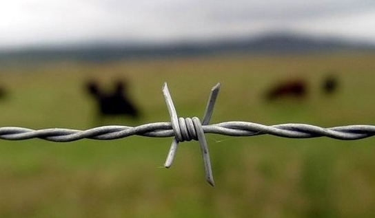 High Quality Galvanized Barbed Wire