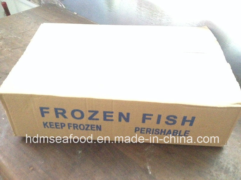 Whole Round Bqf Frozen Seafood Sardine Fish