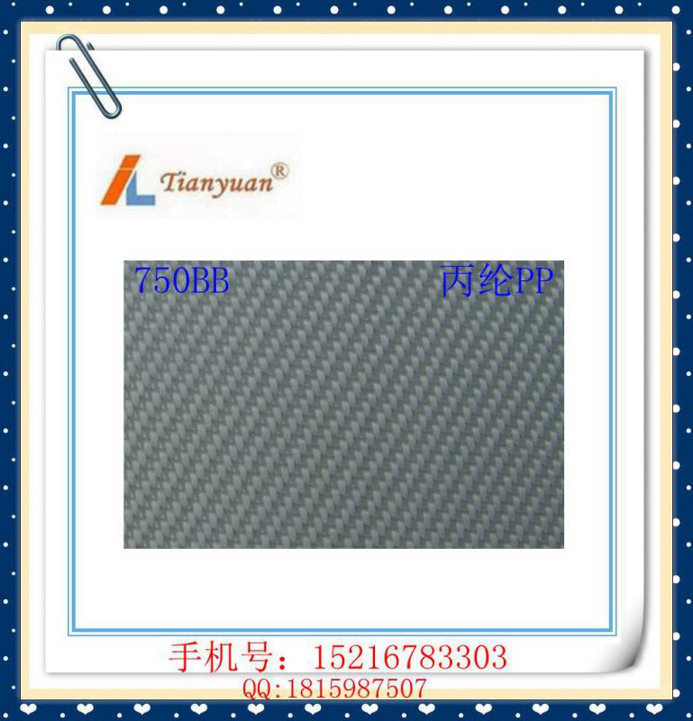 Plain/Twill/Satin Polypropylene PP Filter Cloth