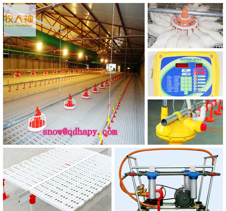 Broiler and Layer Cage in Poultry Farm Construction