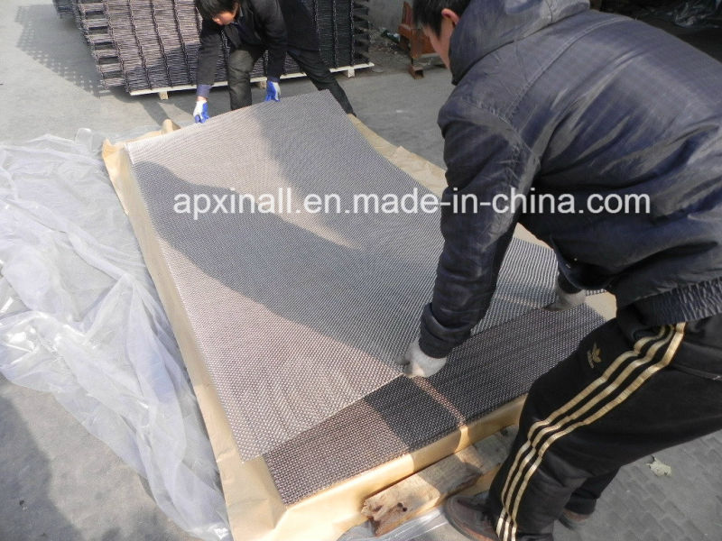 Good Quality Panel and Roll Crimped Wire Mesh (XA-CWM10)