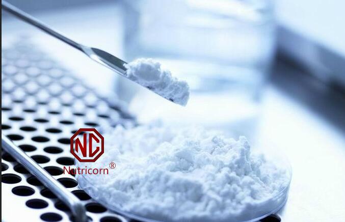 China Food Grade Hyaluronic Acid Sodium Hyaluronate