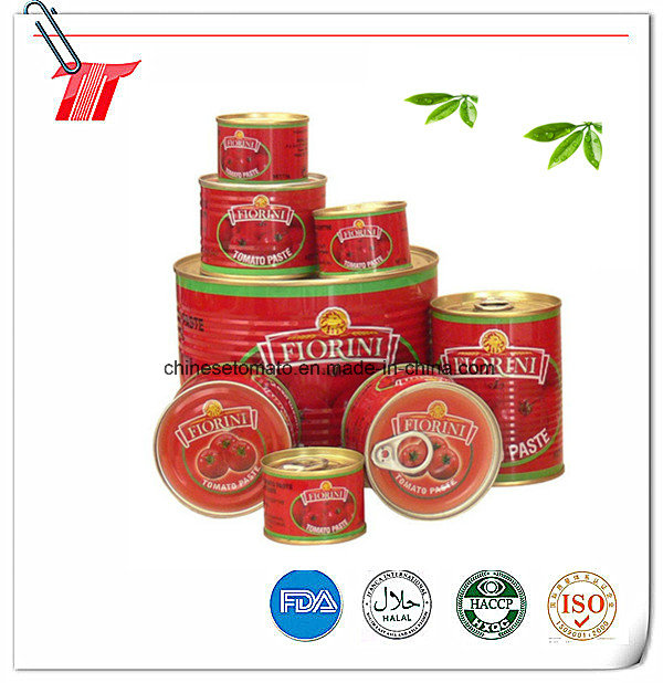 Wholesale High Quality Canned Tomato Paste