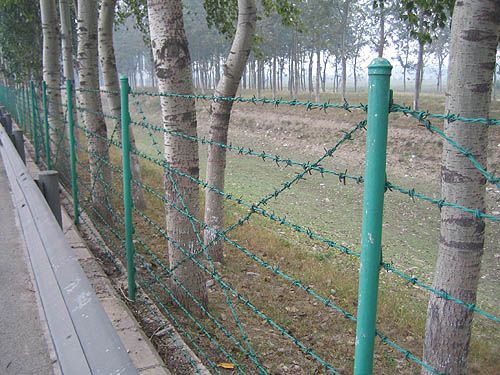 Barbed Wire Fence (Galvanized and PVC Coated)