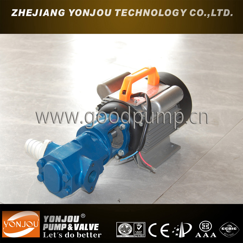 Oil Transfer Portable Gear Oil Pump with Japanese Design