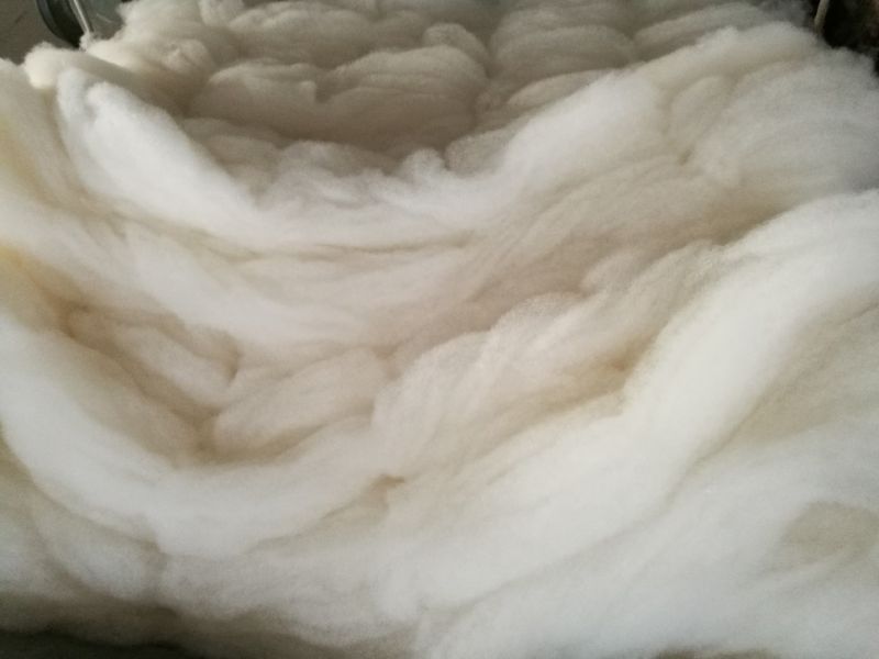 Cashmere Fine Raw Fiber