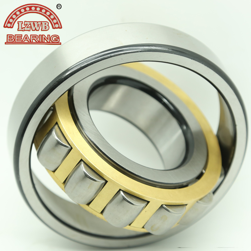 Double Row Cylinderical Roller Bearing with Good Quality (NN3005-NN3064)