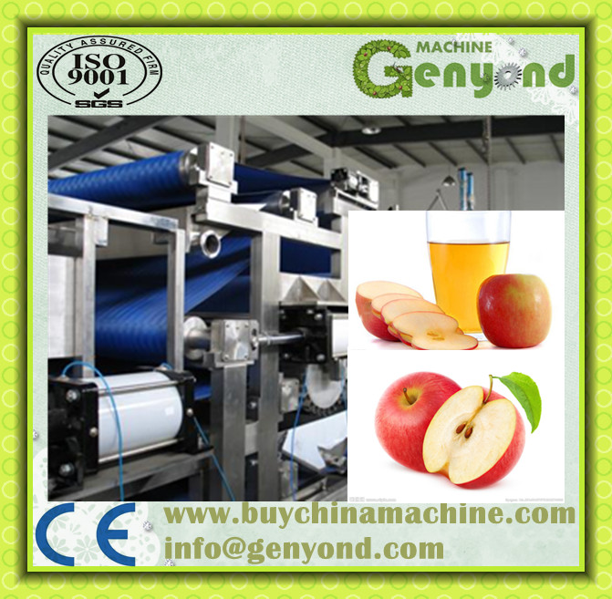 Full Automatic Vegetable Fruit Juice Making Machine