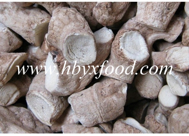 Healthy Food Low Price Shiitake Mushroom Leg