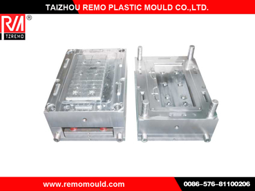 Injection Plastic Car Battery Case Mould