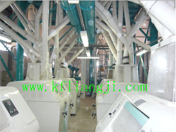 Hot Sale Wheat /Corn Flour Milling Plant