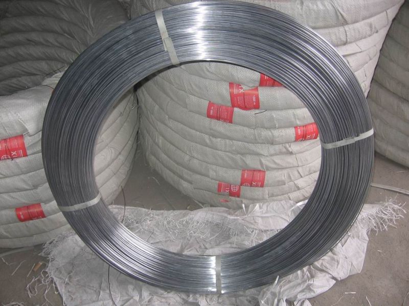 Oval Wire Galvanized for Horse Fencing