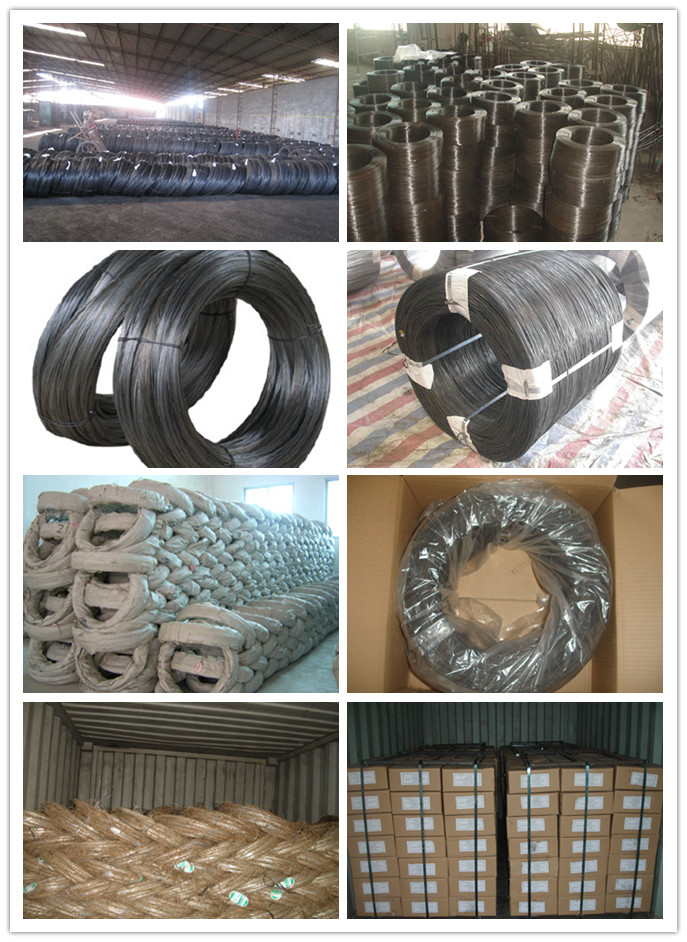 Annealed Black Iron Binding Wire (ISO9001)