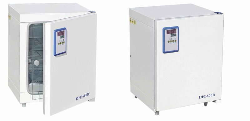 Hot Laboratory Thermostat Incubator, Incubator Instrument From China