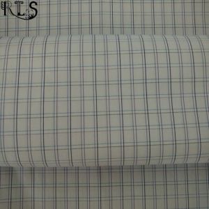 Cotton Poplin Woven Yarn Dyed Fabric for Garments Shirts/Dress Rls40-48po