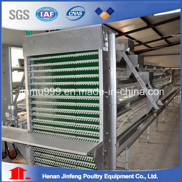 H Type Agriculture Machinery Layer Chicken Cage on Sell