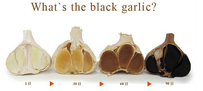 Automatic Black Garlic Fermenting Machine