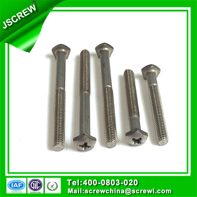 Screw Manufacture Produce Custom Design Special Screw Bolt