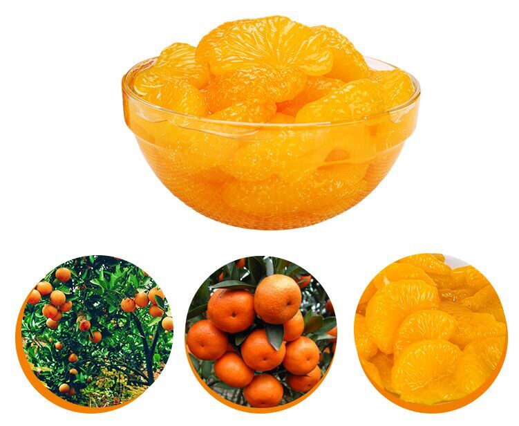 Whole Segment Canned Mandarin Orange