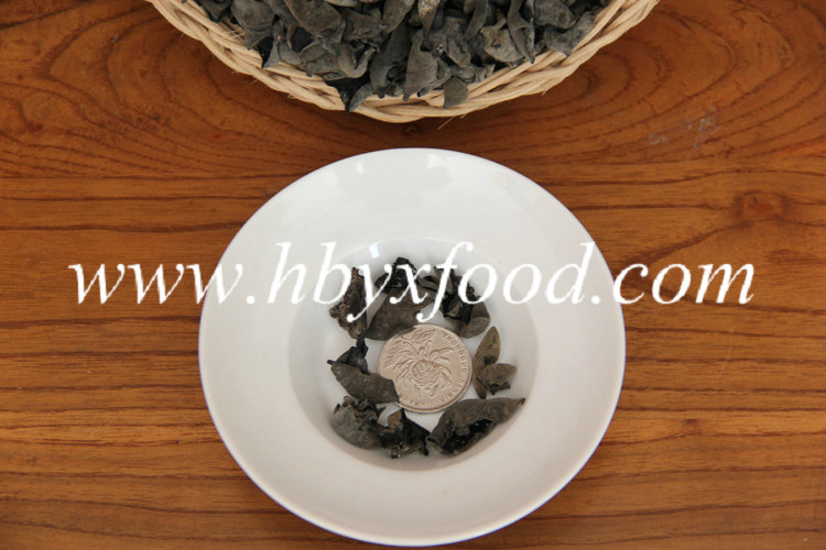 Green Organic Dry Black Fungus