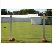 Temporary Fence with High Quality and Low Price (TS-W83)