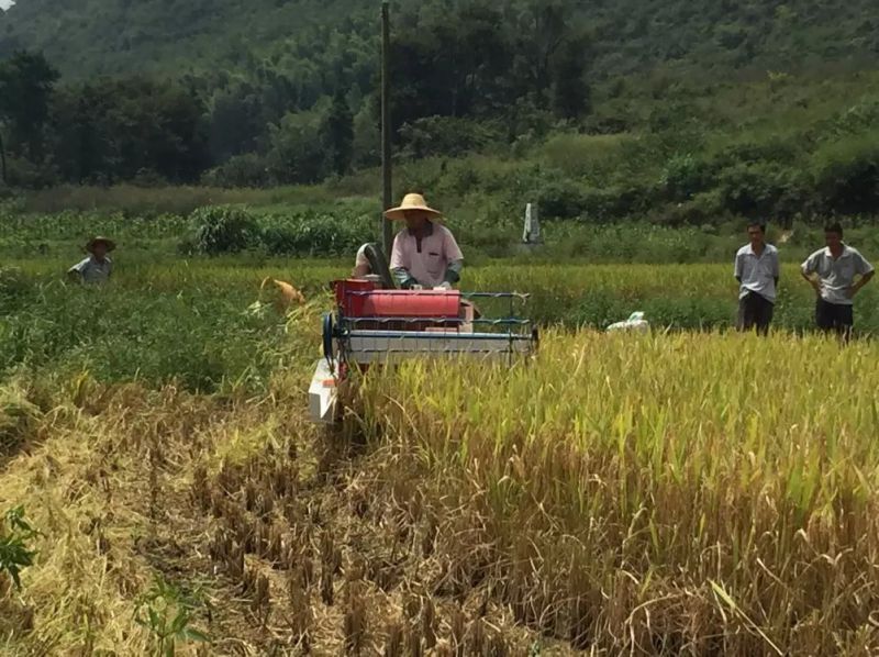 Cheap Price of Mini Rice Harvester for Sale