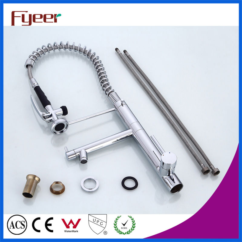 Fyeer Newest Double Spray Pull out Kitchen Sink Faucet