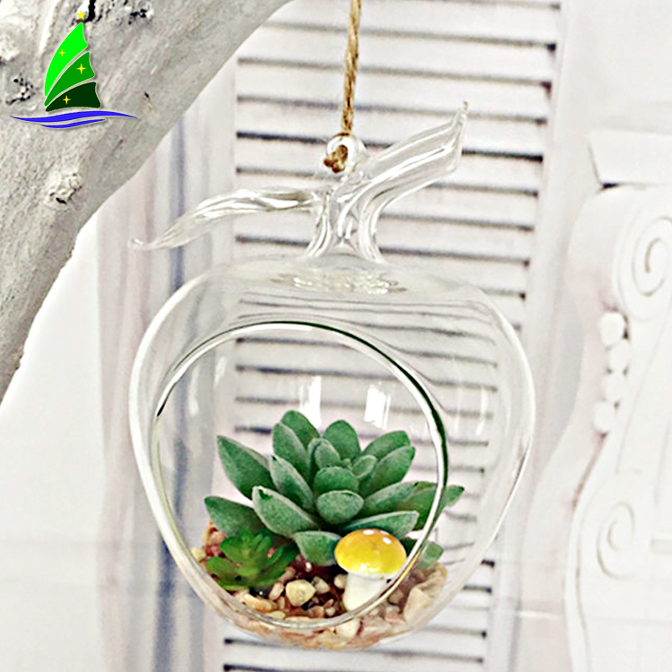 Hanging Glass Terrarium Vase