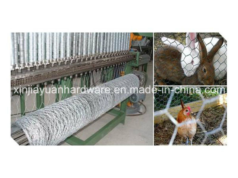 Hot DIP Galvanized Hexagonal Wire Netting