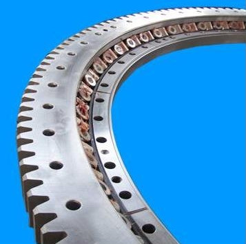 Large Diameter Slewing Bearing for Crane