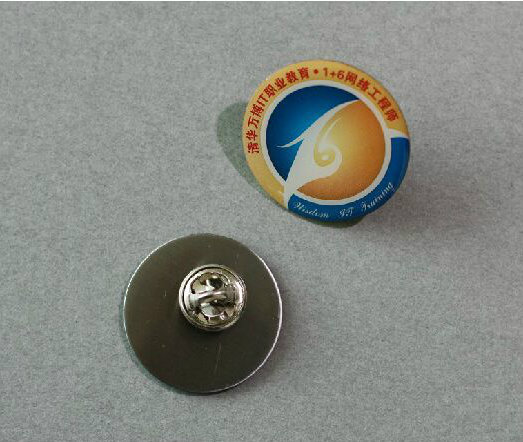 Zinc Alloy Silver Plated Badge, Name Lapel Pin (GZHY-LP-024)