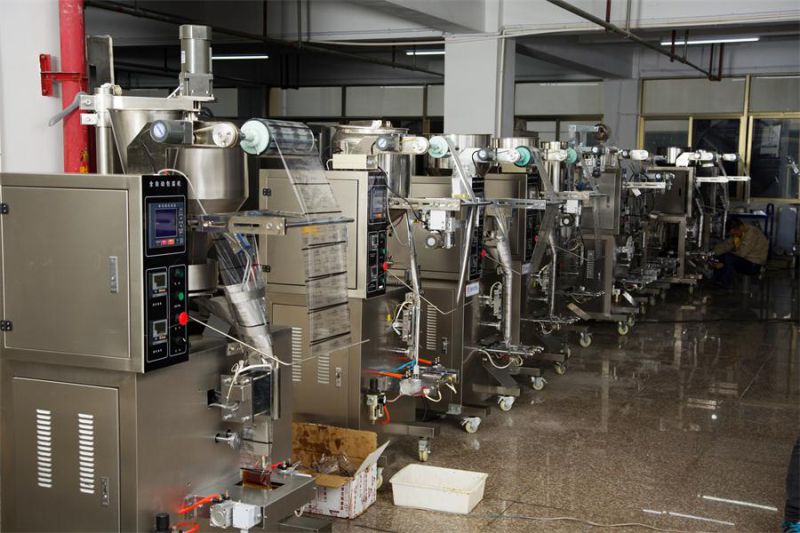 Hongzhan HP500g Automatic Grain Sachet Packing Machine