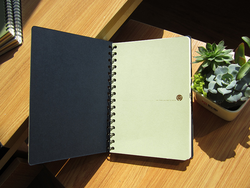 2016 Fashion Spiral Notebook, High Quality School Notebook, Custom Notebook