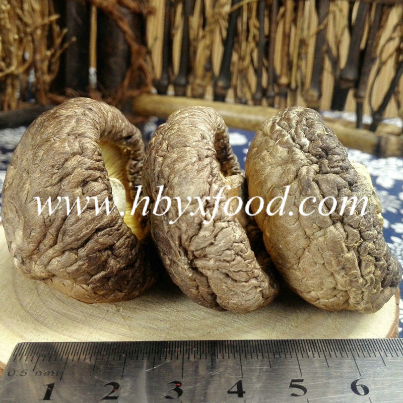 China Grade AAA Organic Smooth Shiitake Mushroom