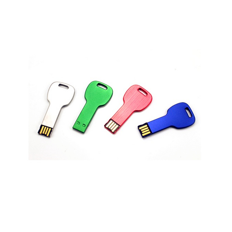 Various Color Custom Logo Metal Key Shape USB