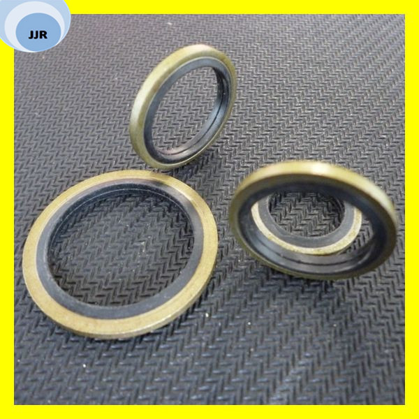 Glyd Ring Seal slipper Seal Bsf/Bsd Seal