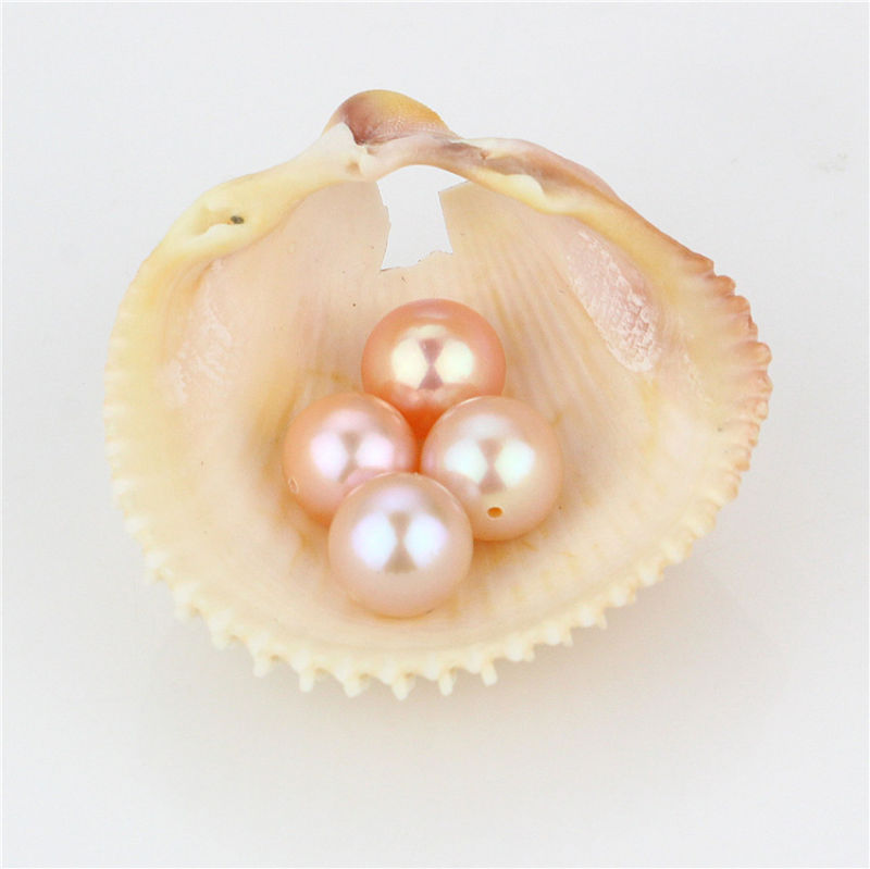 Snh 8-8.5mm AAA Best Grade Peach Color Loose Pearls