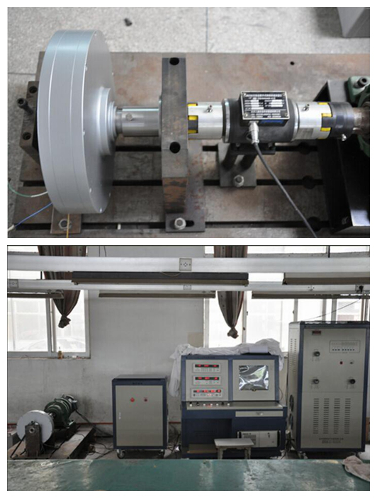 NdFeB Coreless Permanent Magnet Generator with Low Rpm and Torque