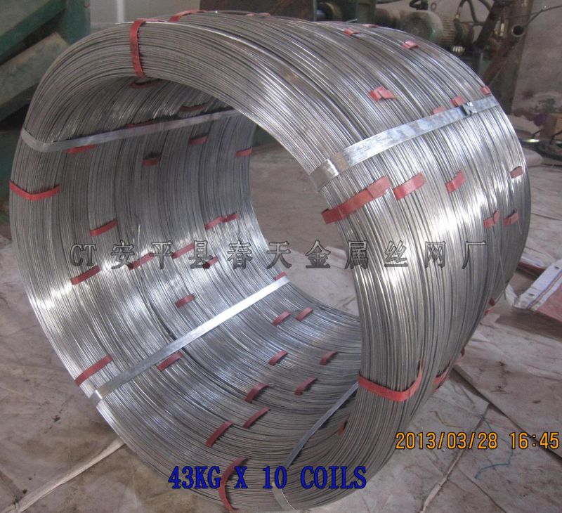 Oval Steel Wire, Galvanized Wire for South America Market (CTM-13)