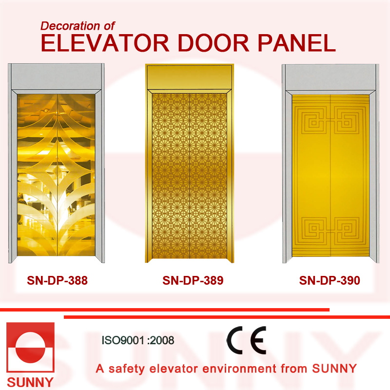 St. St Etching Door Panel for Elevator Cabin Decoration (SN-DP-385)