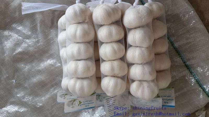 5p 200gram Samll Packing Pure White Garlic