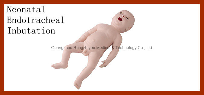 Medical Baby Neonatal Endotracheal Intubation Training Manikin