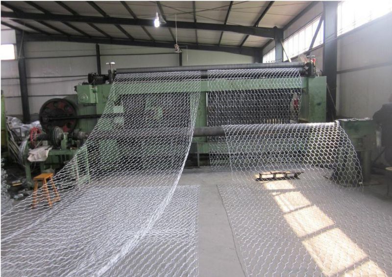 Galvanized or PVC Gabion Box Factory/Hexagonal Wire Netting/Stone Cage/Wire Mesh Fence