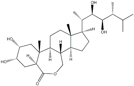 Safe and Healthy Crop Protection Plant Growth Regulator Natural Brassinolide