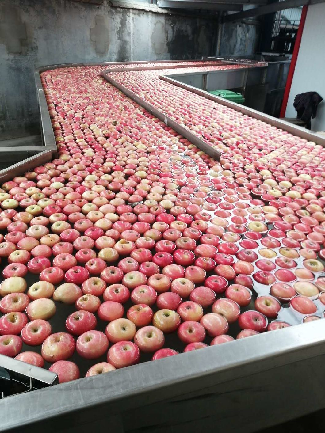 Paper Bagged Fuji Apples