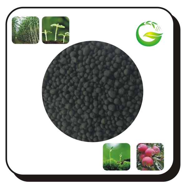 Humic Acid Granular Organic Fertilizer