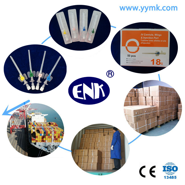 Medical Disposable IV Cannula/IV Catheter Wing Type