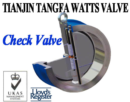 Dual Plate Check Valve Pn16, ANSI150 Flange Fitting