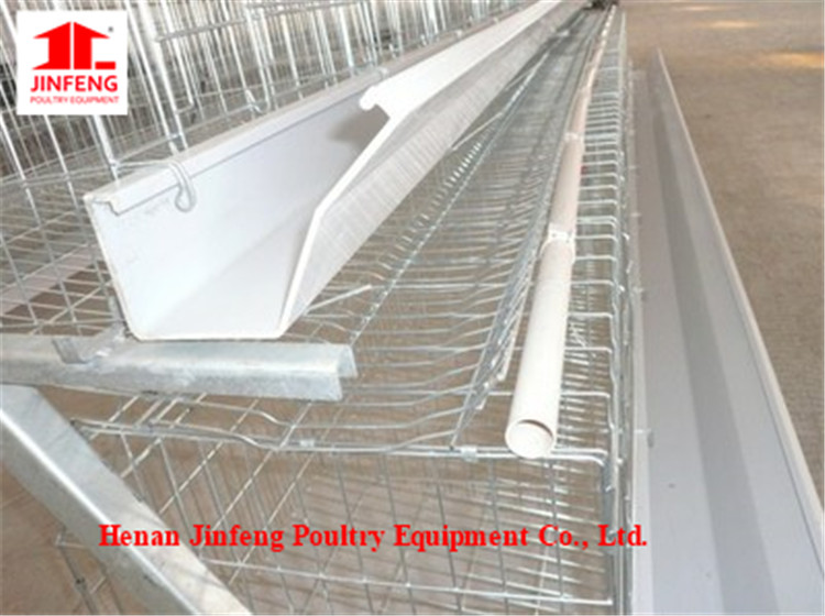 Automatic Poultry Equipment Chicken Cage